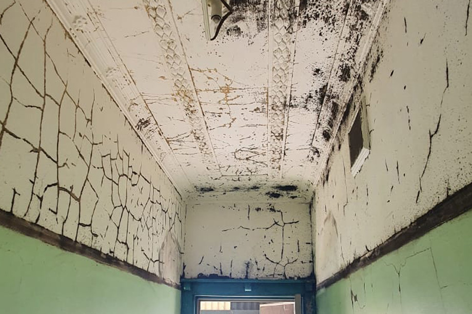 Before, toxic mould and cracking paint in Stanmore home prior to Brushworks treatment